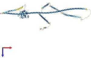 AlphaFold protein structure predicition of Human Recombinant HOOK2 Protein, UniprotID Q96ED9
