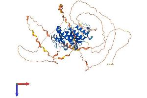 AlphaFold protein structure predicition of Mouse Recombinant Ogfr Protein, UniprotID Q99PG2