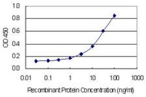 Detection limit for recombinant GST tagged FIGN is 0. (Fidgetin anticorps  (AA 77-170))