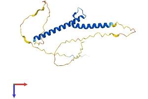 AlphaFold protein structure predicition of Human Recombinant NEUROG3 Protein, UniprotID Q9Y4Z2