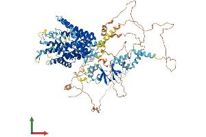 AlphaFold protein structure predicition of Human Recombinant CLCN1 Protein, UniprotID P35523