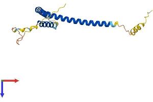 AlphaFold protein structure predicition of Human Recombinant MED28 Protein, UniprotID Q9H204
