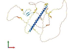 AlphaFold protein structure predicition of Human Recombinant TSC22D4 Protein, UniprotID Q9Y3Q8