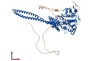 AlphaFold protein structure predicition of Mouse Recombinant Kdm1a Protein, UniprotID Q6ZQ88
