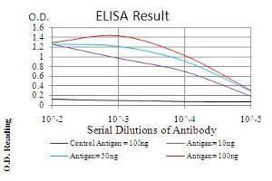 Black line: Control Antigen (100 ng), Purple line: Antigen(10 ng), Blue line: Antigen (50 ng), Red line: Antigen (100 ng), (Emerin anticorps  (AA 1-222))