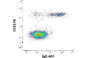Flow cytometry multicolor surface staining of human lymphocytes stained using anti-human IgD (IA6-2) APC antibody (10 μL reagent / 100 μL of peripheral whole blood) and anti-human CD19 (LT19) PE antibody (20 μL reagent / 100 μL of peripheral whole blood). (Souris anti-Humain IgD Anticorps (APC))