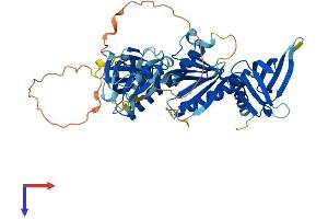 AlphaFold protein structure predicition of Human Recombinant SNTA1 Protein, UniprotID Q13424