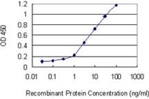 Detection limit for recombinant GST tagged PRRX2 is 0.