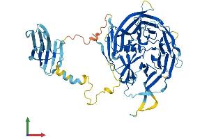 AlphaFold protein structure predicition of Human Recombinant NUDCD1 Protein, UniprotID Q96RS6