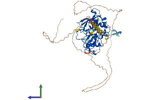 AlphaFold protein structure predicition of Mouse Recombinant Mtf2 Protein, UniprotID Q02395
