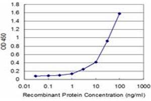 Detection limit for recombinant GST tagged FH is approximately 1ng/ml as a capture antibody. (FH anticorps  (AA 33-510))