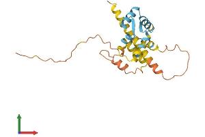 AlphaFold protein structure predicition of Mouse Recombinant Cabp7 Protein, UniprotID Q91ZM8