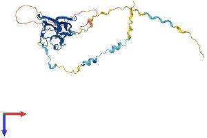AlphaFold protein structure predicition of Human Recombinant MVB12B Protein, UniprotID Q9H7P6