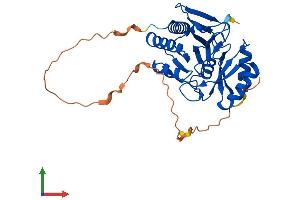 AlphaFold protein structure predicition of Human Recombinant RPIA Protein, UniprotID P49247