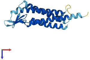 AlphaFold protein structure predicition of Human Recombinant LIM2 Protein, UniprotID P55344