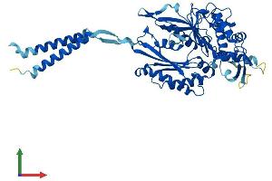AlphaFold protein structure predicition of Mouse Recombinant Entpd8 Protein, UniprotID Q8K0L2