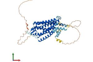 AlphaFold protein structure predicition of Mouse Recombinant Ntsr1 Protein, UniprotID O88319