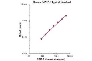 ELISA image for Matrix Metallopeptidase 8 (Neutrophil Collagenase) (MMP8) ELISA Kit (ABIN3198598)