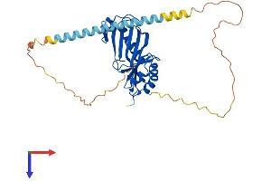 AlphaFold protein structure predicition of Human Recombinant TBP Protein, UniprotID P20226