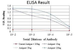 ELISA image for anti-cAMP Responsive Element Binding Protein 1 (CREB1) antibody (ABIN969061)