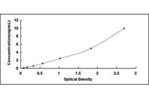 Typical standard curve (PLVAP Kit ELISA)