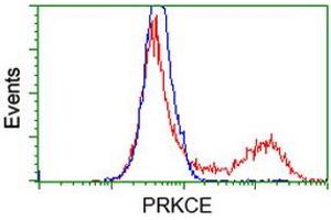 HEK293T cells transfected with either RC217702 overexpress plasmid (Red) or empty vector control plasmid (Blue) were immunostained by anti-PRKCE antibody (ABIN2454195), and then analyzed by flow cytometry. (PKC epsilon anticorps)
