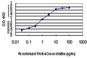 Detection limit for recombinant GST tagged ZIC4 is approximately 0.