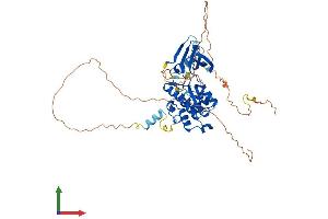 AlphaFold protein structure predicition of Mouse Recombinant Stk33 Protein, UniprotID Q924X7