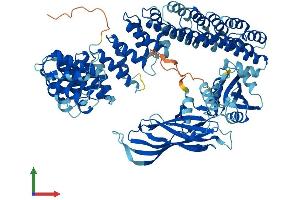AlphaFold protein structure predicition of Human Recombinant COPG1 Protein, UniprotID Q9Y678