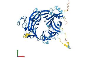 AlphaFold protein structure predicition of Human Recombinant DCAF17 Protein, UniprotID Q5H9S7