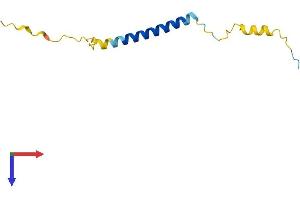 AlphaFold protein structure predicition of Mouse Recombinant Smagp Protein, UniprotID Q99KC7
