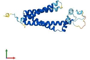 AlphaFold protein structure predicition of Mouse Recombinant Tspan31 Protein, UniprotID Q9CQ88
