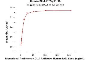 Immobilized Human DLL4, Fc Tag (ABIN2180974,ABIN2180973) at 1 μg/mL (100 μL/well) can bind Monoclonal A DLL4 Antibody, Human IgG1 with a linear range of 1-16 ng/mL (QC tested).