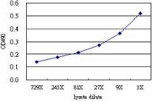 POU6F1 (Human) Matched Antibody Pair