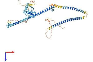 AlphaFold protein structure predicition of Human Recombinant RASSF9 Protein, UniprotID O75901