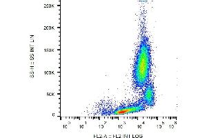 Flow cytometry analysis (surface staining) of CD18 in human peripheral blood with anti-CD18 (MEM-148) PE. (Integrin beta 2 anticorps  (PE))