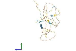 AlphaFold protein structure predicition of Human Recombinant HABP4 Protein, UniprotID Q5JVS0