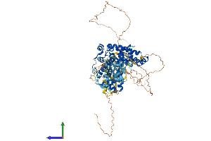 AlphaFold protein structure predicition of Human Recombinant TBC1D16 Protein, UniprotID Q8TBP0