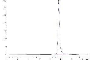 The purity of Mouse HPN is greater than 95 % as determined by SEC-HPLC.