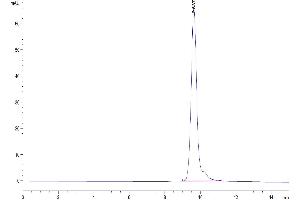 The purity of Mouse HPN is greater than 95 % as determined by SEC-HPLC. (Hepsin Protein (HPN) (AA 60-436) (His tag))