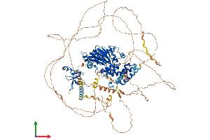 AlphaFold protein structure predicition of Human Recombinant PHF2 Protein, UniprotID O75151