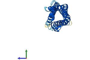 AlphaFold protein structure predicition of Human Recombinant TMEM205 Protein, UniprotID Q6UW68