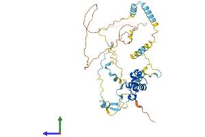 AlphaFold protein structure predicition of Mouse Recombinant Dmtn Protein, UniprotID Q9WV69