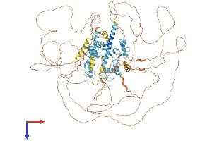 AlphaFold protein structure predicition of Mouse Recombinant Sall4 Protein, UniprotID Q8BX22