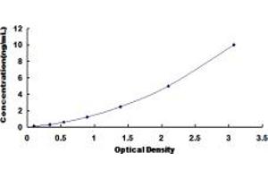 Typical standard curve (CTH Kit ELISA)