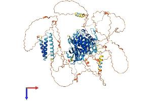 AlphaFold protein structure predicition of Human Recombinant RPS6KC1 Protein, UniprotID Q96S38