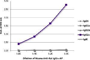 ELISA plate was coated with purified rat IgG1, IgG2a, IgG2b, IgG2c, and IgM. (Souris anti-Rat IgG2c Anticorps (Alkaline Phosphatase (AP)))