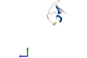 AlphaFold protein structure predicition of Human Recombinant KRT14 Protein, UniprotID P02533