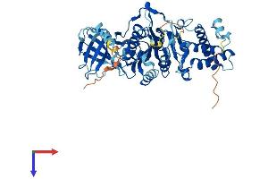 AlphaFold protein structure predicition of Human Recombinant ATP6V1B1 Protein, UniprotID P15313