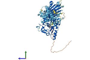 AlphaFold protein structure predicition of Human Recombinant CAPN11 Protein, UniprotID Q9UMQ6